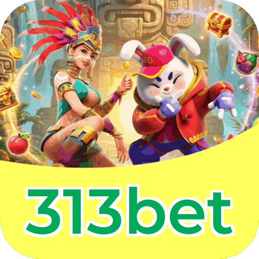 Interface 313bet
