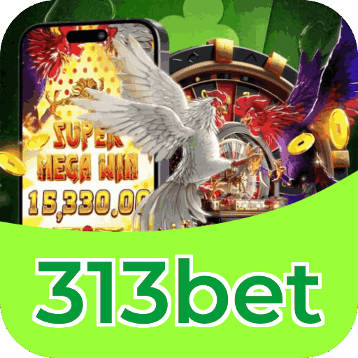 Segurança 313bet